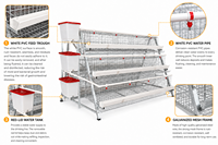 Cages à batterie pour poulets pondeuses à 3 niveaux, cages à poules pondeuses de type A galvanisées pour ferme avicole, pour 10 000 oiseaux