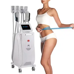 Offre Spéciale 4 Cryo Pads EMS HIEMT Cooling Body Contouring Machine amincissante pour l'élimination des graisses modelage du corps