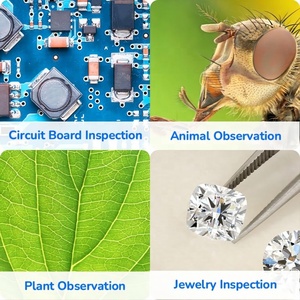 Best-selling HD Screen Digital 12MP 1200X LCD Pocket Stereo Electron 2 LED Illumination CMOS DM9-S Optical - Product Image 1