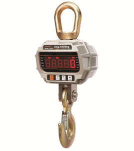 <span class=keywords><strong>2</strong></span><span class=keywords><strong>ตัน</strong></span>ยกเครนขนาดแขวนขนาด2000กิโลกรัม - Product Image 1