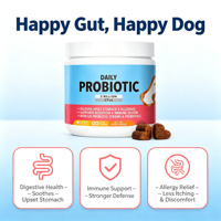 Probiotiques Quotidiens en Gros pour Chats et Chiens : Optimisez la Microbiome Intestinale – Probiotiques Vivants Haute Puissance Saveur Poulet et Enzymes