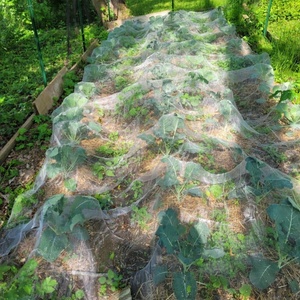 רשת הגנה לגינה נגד חרקים וציפורים מפלסטיק HDPE+ UV, רשת ארוגה בהזרקה - Product Image 1