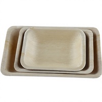 Barquette carrée jetable en feuille de palmier, très résistante, 8 pouces de profondeur, biodégradable, écologique, pour la restauration à emporter et usage occasionnel