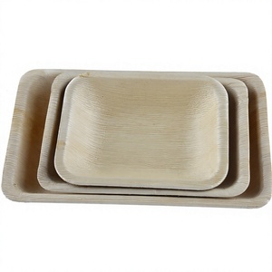 Disposable Palm Leaf 8 Inch Deep Square Tray Biodegradable Eco-Friendly for Takeaway Casual Use - Product Image 5