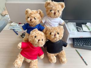 Низкий минимальный заказ, персонализированный текстовый логотип, плюшевый мишка с футболкой, мягкий хлопок, дизайн для вечеринок, Рекламные плюшевые игрушки - Product Image 2