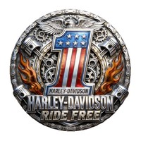 Pièce commémorative Davidson Riding, Médaille de la Liberté américaine pour motards, Pièce en fer à relief, Fabriquée en Chine, Uniquement pour l'Amérique