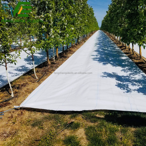 Malla Antihierbas Blanca para Jardines y Huertos, 2m X 50m, Membrana Antihierbas con Clavos <span class=keywords><strong>de</strong></span> Plástico para Fijación - Product Image 6