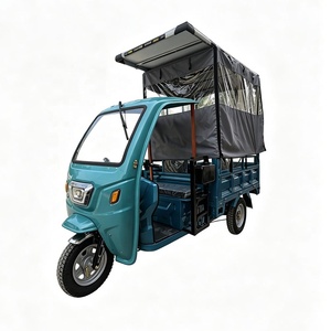 Adult Tricycle Motorcycle 3 Wheel Bike Scooter Fully Enclosed Double Row Passenger - Product Image 1
