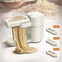 Machine à pâtes électrique automatique en acier inoxydable 100W, multifonctionnelle pour la maison, pour la fabrication de nouilles et de feuilles de raviolis