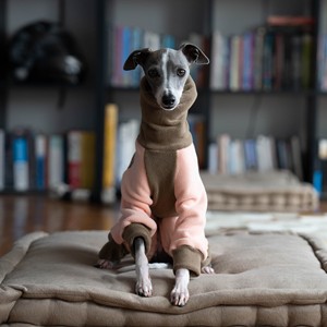 <span class=keywords><strong>Ropa</strong></span> de invierno de doble cara de forro polar para <span class=keywords><strong>galgo</strong></span> <span class=keywords><strong>italiano</strong></span> pequeño, de cuatro patas, cuello alto, elástica, cálida, estilo Bellington, para ocio y protección contra el viento. - Product Image 6