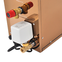 Générateur de vapeur 6 kW Or Rose à vidange automatique, certifié CE, pour salle de vapeur résidentielle et commerciale – Vente directe usine