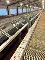 Nid de ponte automatique à bon prix Nichoir pour œufs de poules de ferme avicole