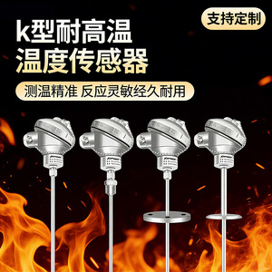 Pt100 Temperature Sensor Wctsr801 Stainless Steel Armored Integrated Transmitter High Temperature Alarm Straight Insertion Type - Product Image 3