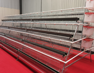 Cage à poulets galvanisée antirouille avec structure à plusieurs niveaux pour l'élevage général <span class=keywords><strong>de</strong></span> volailles - Product Image 6