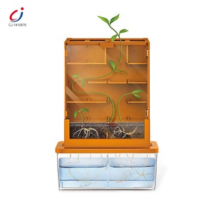 STEM Trò chơi giáo dục môi trường tuyệt vời khoa học trồng cây phát triển một nhà máy Mê Cung đồ chơi - Product Image 5
