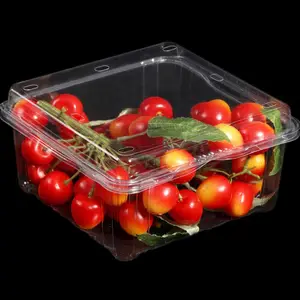 1LB Disposable Clamshell Box Packaging Blister Custom Plastic PET Clear Food Packing 250g Fresh Cherry Tomato Fruit Container