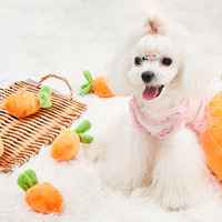Jouet à mâcher pour animaux de compagnie en matériau PP écologique Jouet en peluche carotte pour chats chiens Ananas Fraise Fruits Légumes Chien