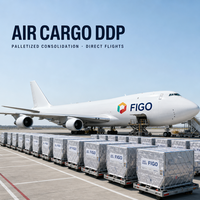 Service complet et livraison sécurisée d'articles volumineux par expédition aux États-Unis avec un bon prix – Agence internationale transitaire DDP