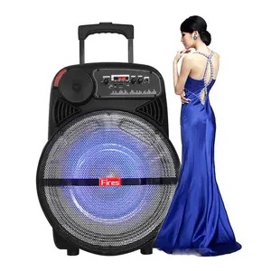 outdoor powered speakers karaoke professional party subwoofers consumer electronics > speakers box spiker dj pa big sound box