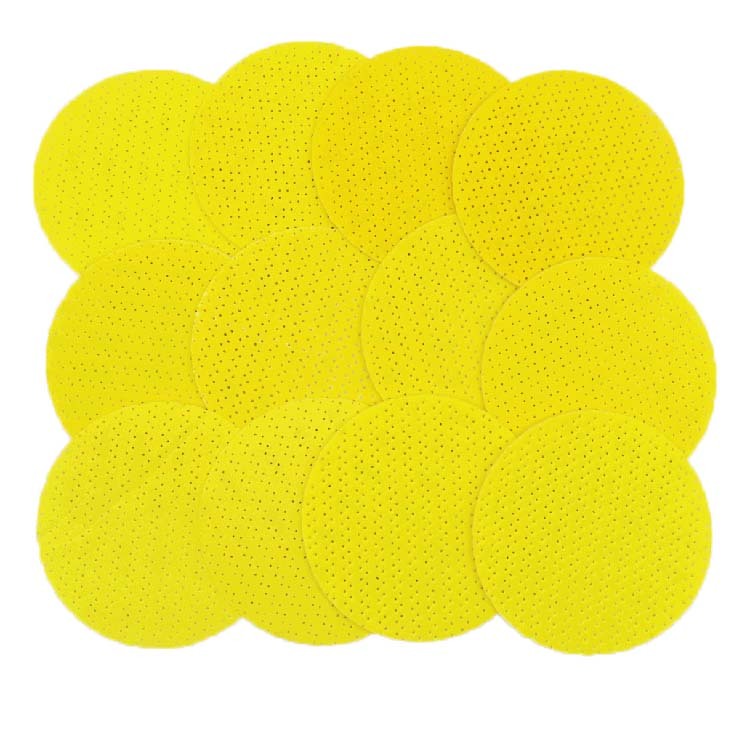 Disques abrasifs pour mur sec, 225mm, multi-trous, pour citron, 10 pièces