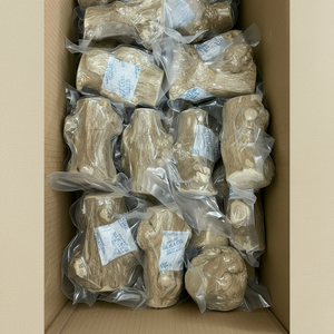 Palo de madera de café de Vietnam natural para perros al mejor precio al por mayor por 99 Gold Data - Product Image 1