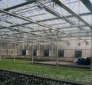 <span class=keywords><strong>พัดลม</strong></span><span class=keywords><strong>ระบาย</strong></span>ความร้อนขนาด<span class=keywords><strong>50</strong></span><span class=keywords><strong>นิ้ว</strong></span>สำหรับเล้าไก่ขนาด300มม. - Product Image 4