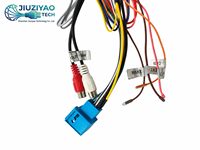 Faisceau de câblage automobile personnalisé en PVC avec interface CANBUS compatible pour X5 (modèle préliminaire) – Câble de connexion, assemblage de connecteurs, pièces OEM/ODM