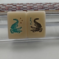 Magnifique ensemble de Mahjong américain en acrylique blanc, gravé, avec motifs Soleil éclatant, Vent, Coquille de Nautilus et Cartes Joker, jeu de société classique, coffret cadeau de fêtes