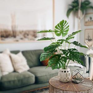 Palmera Tropical Grande Monstera Artificial Planta Sintética <span class=keywords><strong>para</strong></span> <span class=keywords><strong>Interior</strong></span> y Exterior Decoración de Hogar Oficina Jardín Maceta de Plástico - Product Image 4
