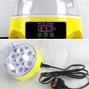 <span class=keywords><strong>Mini</strong></span> huevo incubadora 7 huevos capacidad incubadora de cría de pollo huevo de pato Hatcher automático de incubadora - Product Image 6