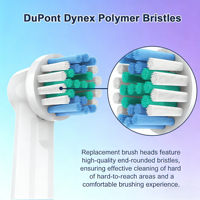 Têtes de brosse à dents électriques en gros, modèles W3/C1/C2/G2, alimentées par USB, multifonctionnelles, pour usage hôtelier et domestique