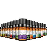 10ml nemlendirici aromaterapi difüzör seti kapalı parfüm yağı aromaterapi suda çözünür aromaterapi yağı