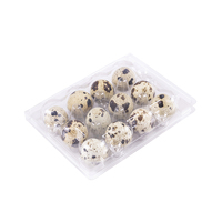 Barquettes en plastique PET recyclé pour œufs de caille, 12 ou 24 alvéoles, emballage pour œufs de caille, boîte à clapet, plateau à 12 ou 24 trous