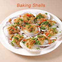16 coquillages marins pour travaux manuels, 3-4 pouces, coquilles Saint-Jacques blanches