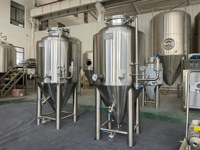 3bbl 4bbl 5bbl brew equip beer ferment tank /ss 1000l fermenteur prix tank beer system cuves de fermentation à vendre
