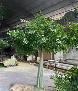 Plante Artificielle Personnalisée, Arbre Banyan Intérieur et Extérieur, Décoration de Spot Scénique pour Hôtel Centre Commercial, Faux Arbre, Ficus <span class=keywords><strong>Tre</strong></span> Vert - Product Image 4
