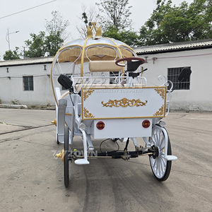 Venta Directa de Fábrica: Carruaje de Cenicienta Eléctrico con Luces LED para Eventos, Bodas y Exhibiciones Turísticas - Product Image 3