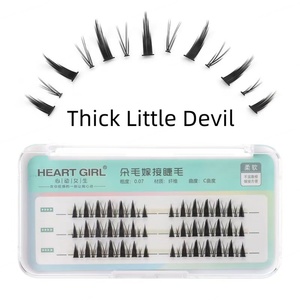 Pestañas Segmentadas Precortadas de 3 Líneas Heart Girl Factory Devil DIY, Extensión de Pestañas, Caja Personalizada con Logotipo Privado - Product Image 1