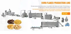 Sıcak satış 200kgh Kelloggs mısır gevreği yapma makineleri meyve döngüler aperatif yiyecek üretim hattı kahvaltı gevrekleri ekstrüder şeker