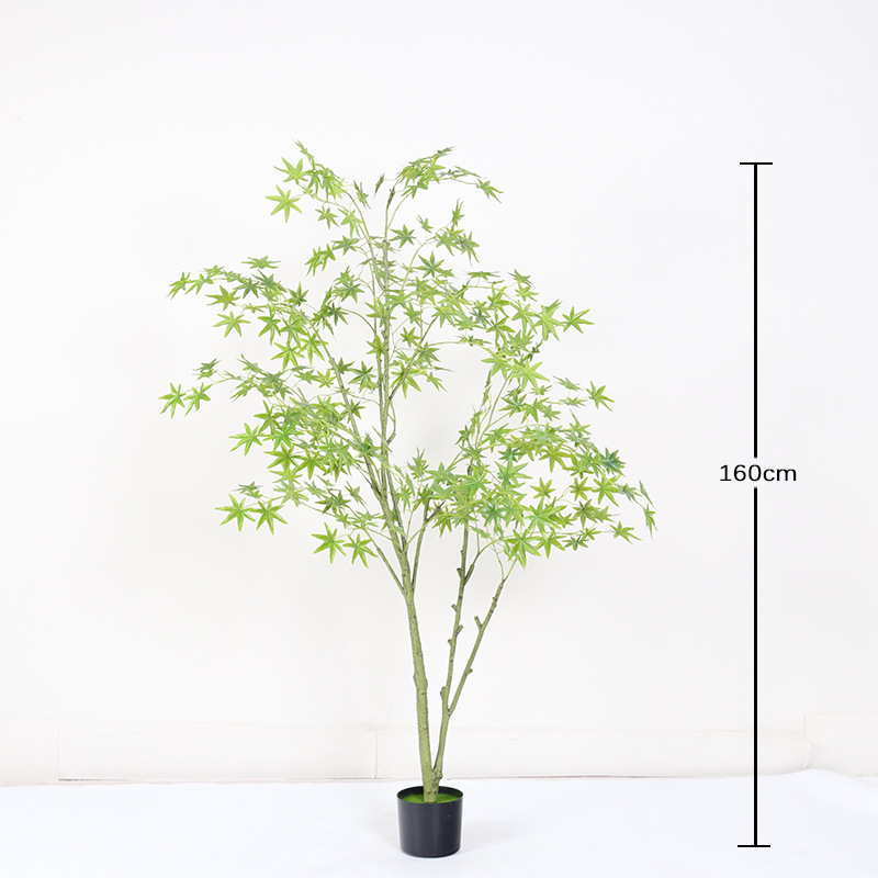 160cm