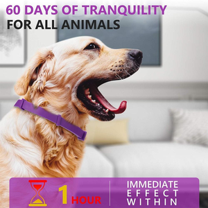 Long Lasting 8 Month <strong>Dog</strong> <strong>Flea</strong> Tick <strong>Collar</strong> Waterproof Adjustable 70cm - Safe Pest Control for Small Medium Large <strong>Dogs</strong> - Product Image 3