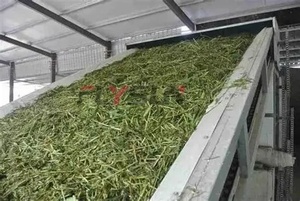 Flysun Industrial Automatic Mesh Belt Drying Machine for Scallion Chives Vegetables PLC Gear 304 Stainless Steel High Efficiency - Product Image 5