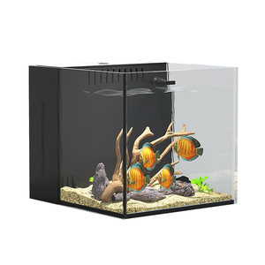 Acuario Ecológico con Filtración de Plantas Naturales y Equilibrio Biológico para el Hogar - Product Image 1