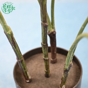Planta Artificial de Monstera de Alta Simulación, Árboles en Maceta de Plástico de 90 cm para Cafetería, Centro Comercial, Sala de Estar, Hotel, Biblioteca - Product Image 3