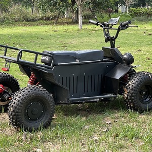 Scooter électrique 60V10000W haute puissance, scooter pour adultes, quad 4x4 - Product Image 1