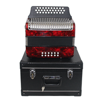 Professional Factory Red Color Grey Color 31 Button 12 Bass Diatonic Button Accordion