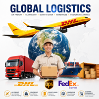 Transitaire aérien et maritime DDP Japon, Corée vers Chine, Agent maritime import Tokyo, Séoul vers Shenzhen, Shanghai, Ningbo, Allemagne