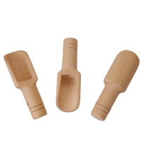 Petite cuillère en bois de hêtre massif pour lait en poudre, sel de bain, thé/café, mini-cuillère doseuse pour sel de bain