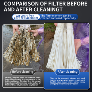 2000l/h 304 thép không gỉ toàn bộ nhà Máy lọc nước cho cũng pvdf thanh lọc UF màng lọc nước - Product Image 5