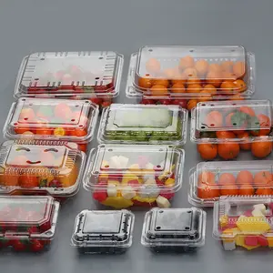 Échantillons gratuits Conteneur d'emballage de fruits en plastique à clapet jetable supermarché boîte d'emballage d'aliments frais plateau